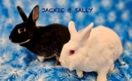 jackie sally 1